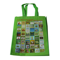 淮南LB11覆膜无纺布广告袋